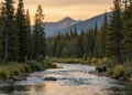 A majestic North American landscape with a clear river, dense pine forest, and a grizzly bear and a wolf in the distance, under a golden sunset. The scene is serene and wild, with mountains in the background. High resolution, photorealistic style, National Geographic quality.